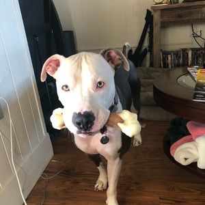 Meet your Posher, Gretchen